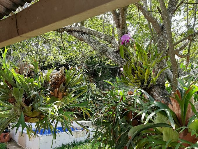 WhatsApp Image 2023-09-22 at 11.37.09 AM (1)