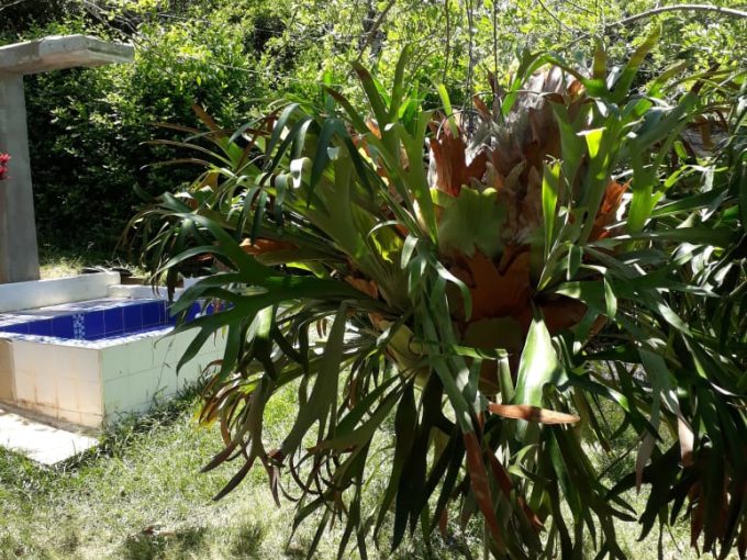 WhatsApp Image 2023-09-22 at 11.37.09 AM (3)