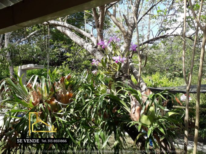 WhatsApp Image 2023-09-22 at 11.37.10 AM