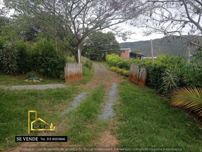 WhatsApp Image 2023-09-22 at 11.37.11 AM (2)