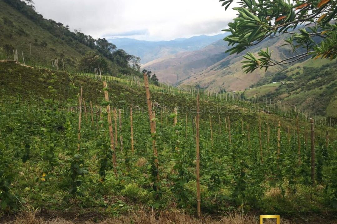 WhatsApp Image 2023-02-17 at 8.57.59 AM (1)