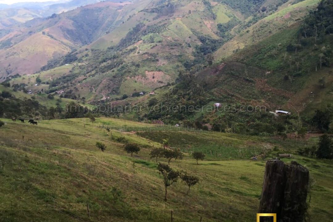 WhatsApp Image 2023-02-17 at 8.57.59 AM