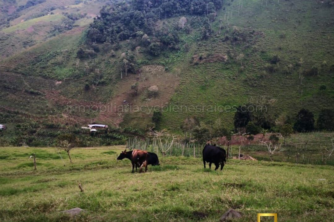 WhatsApp Image 2023-02-17 at 8.57.59 AM (3)