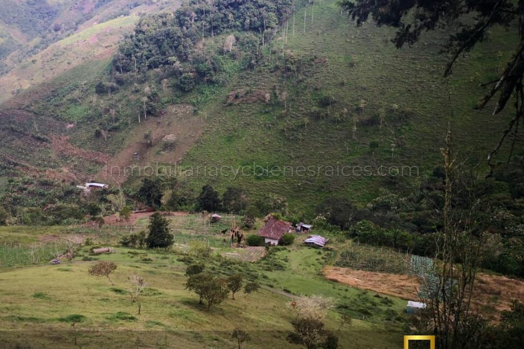 WhatsApp Image 2023-02-17 at 8.57.59 AM (4)