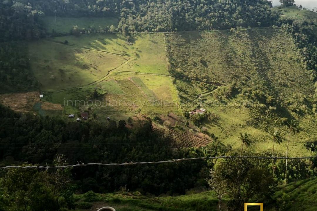 WhatsApp Image 2023-02-17 at 8.58.00 AM