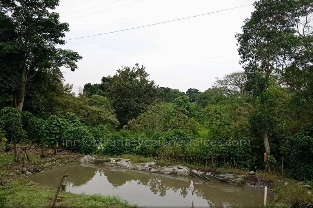 WhatsApp Image 2023-02-27 at 2.28.59 PM (1)