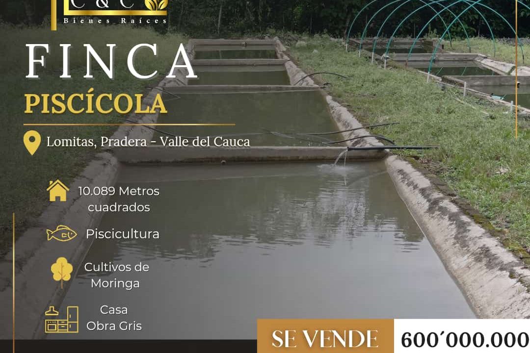 WhatsApp Image 2023-02-27 at 2.28.59 PM