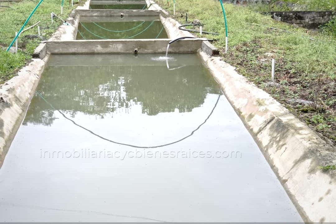 WhatsApp Image 2023-02-27 at 2.29.00 PM