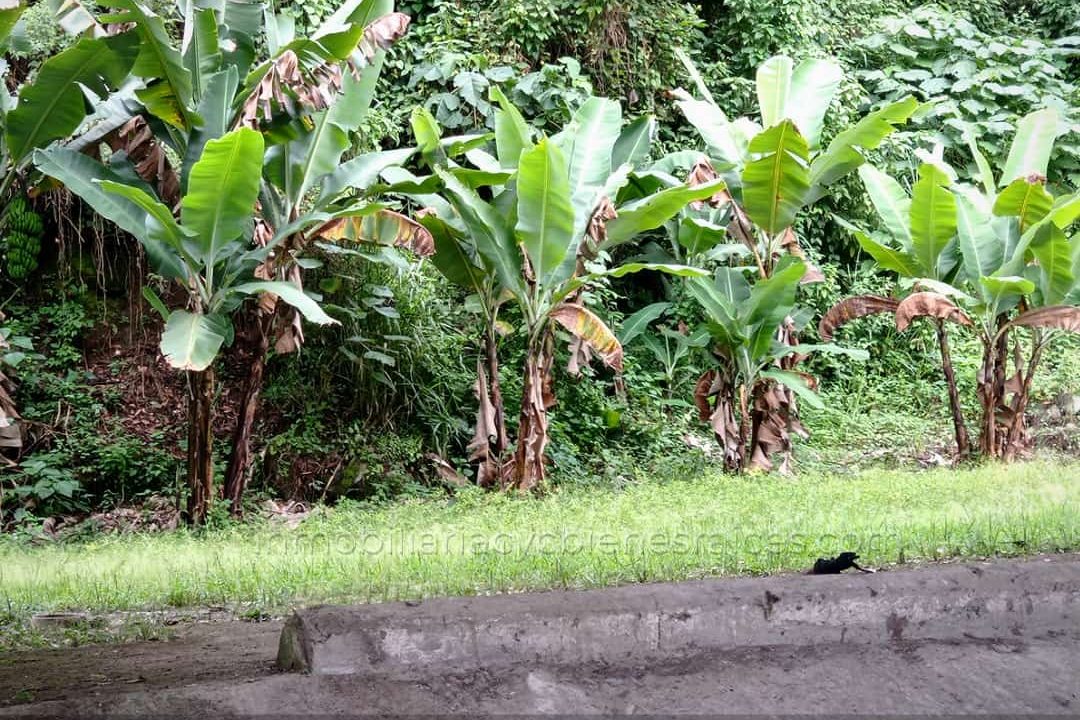 WhatsApp Image 2023-02-27 at 2.29.00 PM (2)