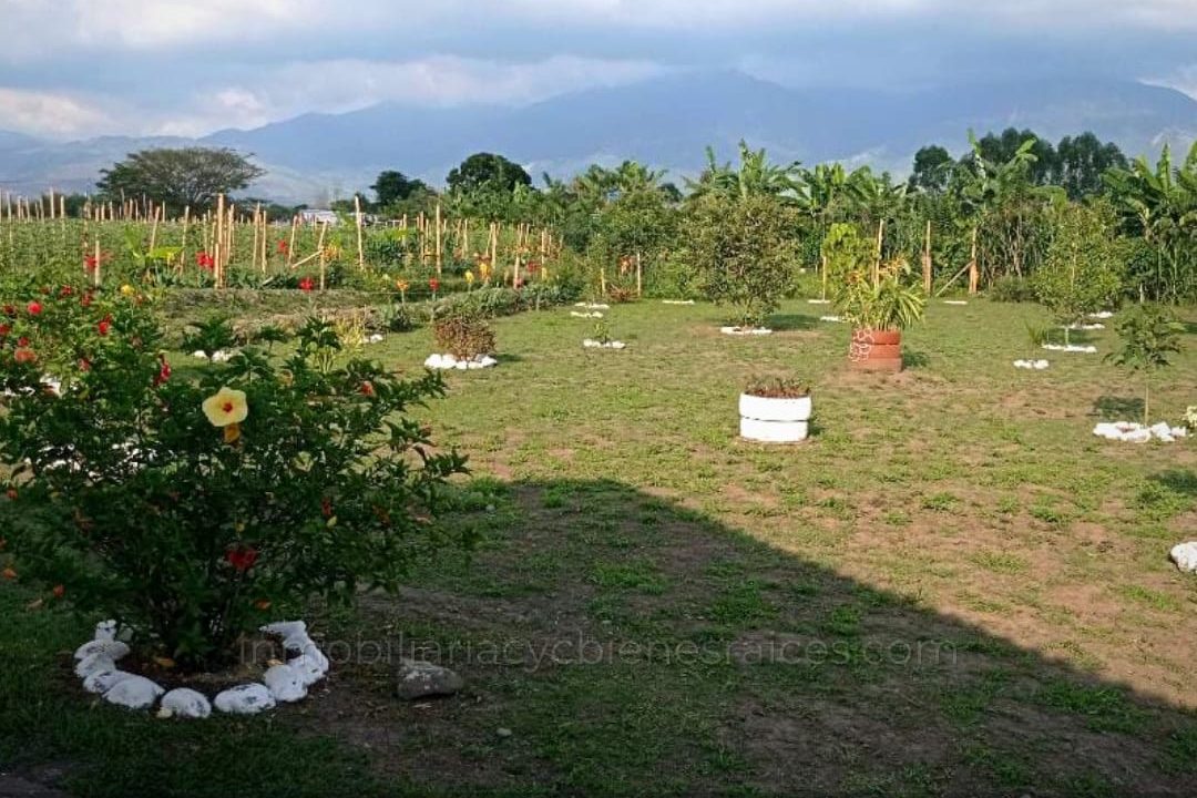 WhatsApp-Image-2023-03-28-at-5.18.50-PM-3