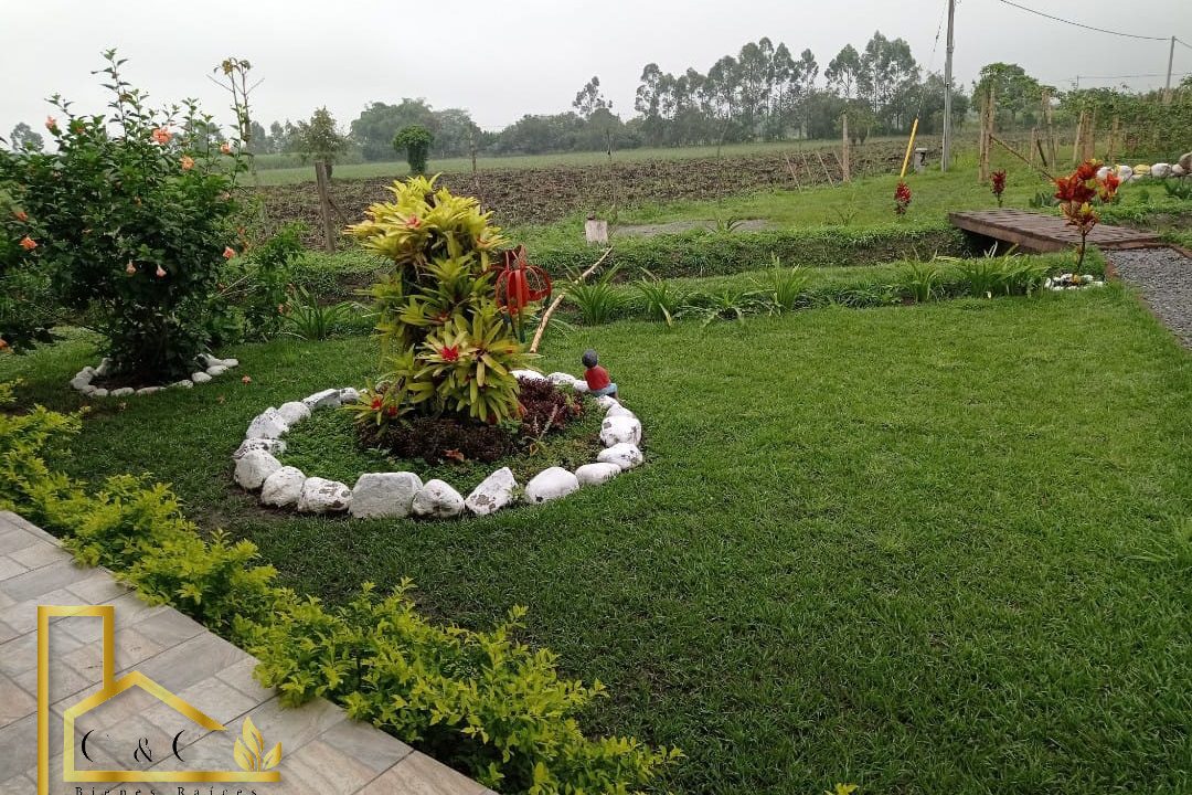 WhatsApp-Image-2023-03-28-at-5.18.51-PM-1