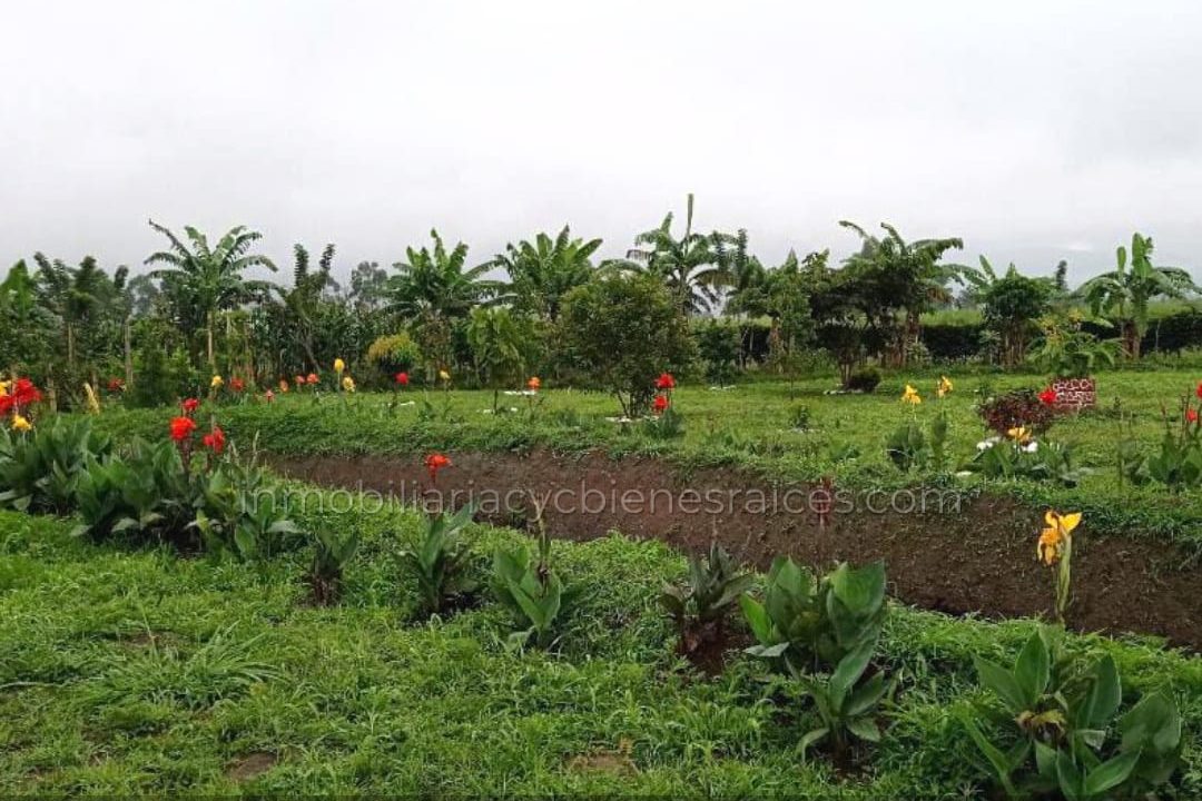 WhatsApp-Image-2023-03-28-at-5.18.51-PM