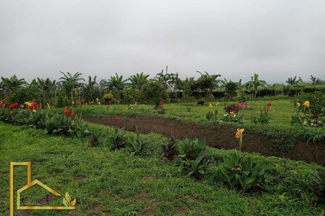 WhatsApp-Image-2023-03-28-at-5.18.51-PM-2