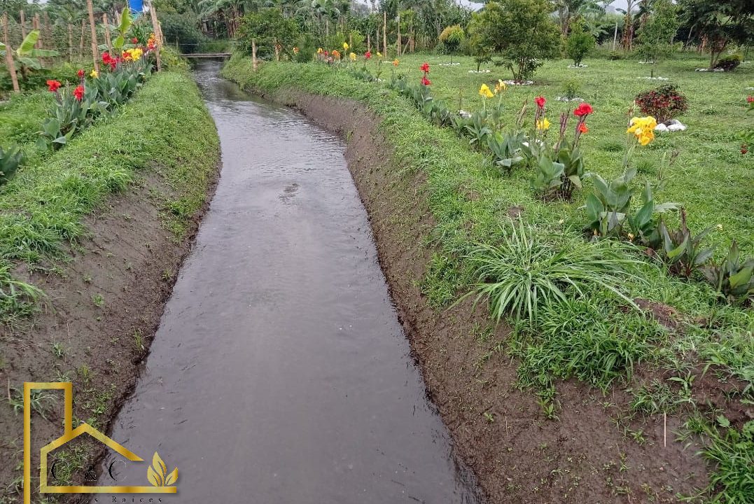 WhatsApp-Image-2023-03-28-at-5.18.52-PM-1