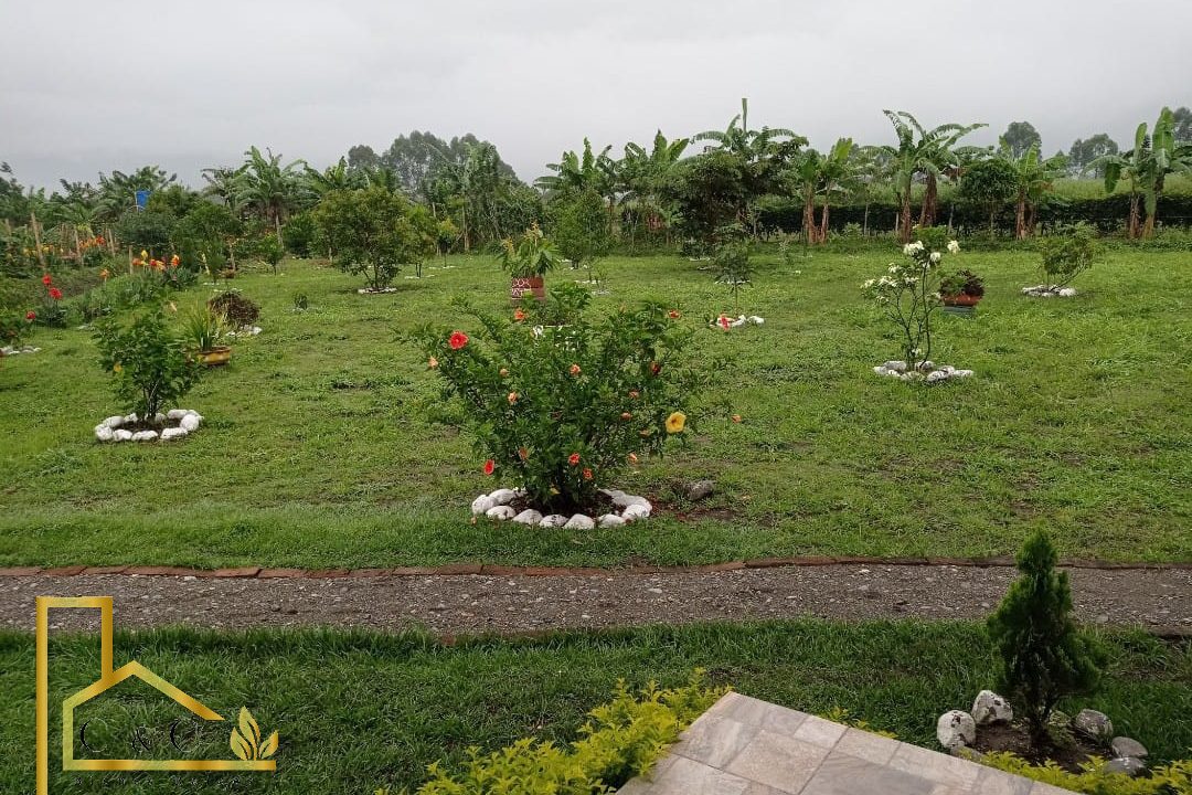 WhatsApp-Image-2023-03-28-at-5.18.52-PM-2