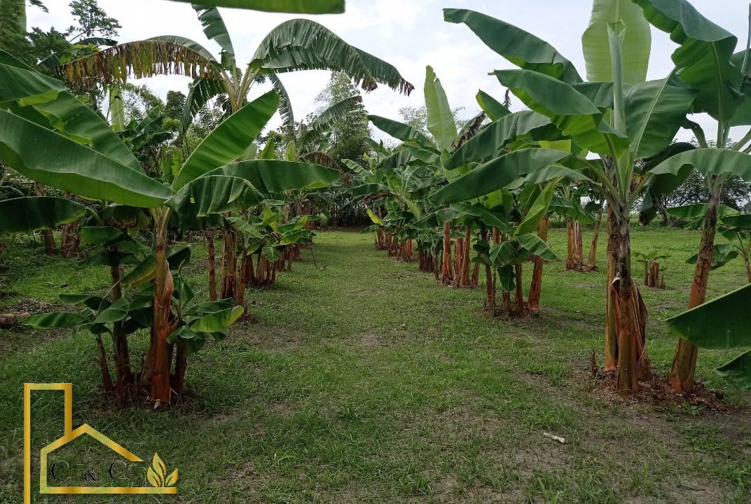 WhatsApp-Image-2023-03-28-at-5.18.53-PM